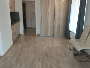 Pronájem bytu 1+kk, Praha - Hlubočepy, Wassermannova, 33 m2