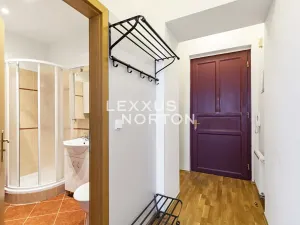 Pronájem bytu 1+kk, Praha - Vinohrady, Sázavská, 35 m2