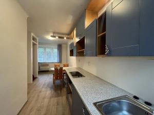 Pronájem bytu 3+kk, Brno, Skácelova, 65 m2
