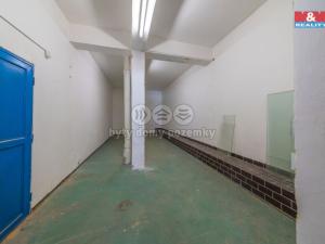 Pronájem skladu, Havířov, Dlouhá třída, 31 m2
