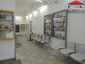 Pronájem obchodního prostoru, Praha - Nusle, Křesomyslova, 270 m2