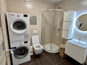 Pronájem bytu 1+kk, Hustopeče, Vinařská, 42 m2
