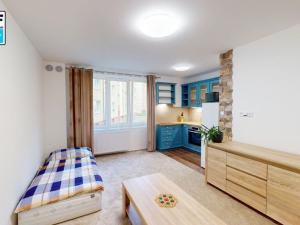 Pronájem bytu 1+kk, Plzeň, Čechova, 23 m2