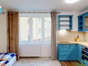 Pronájem bytu 1+kk, Plzeň, Čechova, 23 m2