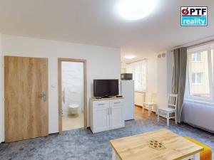 Pronájem bytu 1+kk, Plzeň, Čechova, 25 m2