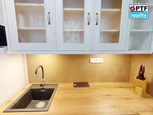 Pronájem bytu 1+kk, Plzeň, Čechova, 25 m2