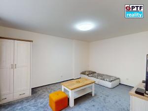 Pronájem bytu 1+kk, Plzeň, Čechova, 25 m2