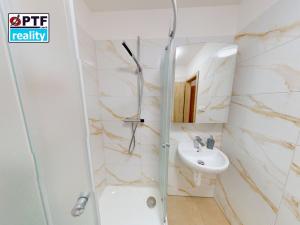 Pronájem bytu 1+kk, Plzeň, Čechova, 25 m2