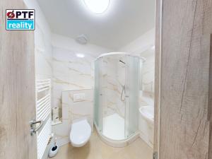 Pronájem bytu 1+kk, Plzeň, Čechova, 25 m2