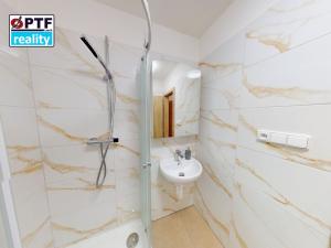 Pronájem bytu 1+kk, Plzeň, Čechova, 25 m2