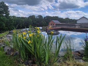 Prodej rodinného domu, Adamov, 98 m2