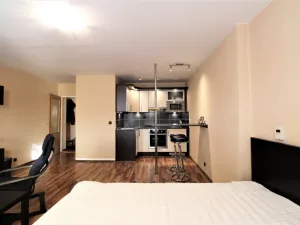 Pronájem bytu 1+kk, Praha - Karlín, Hybešova, 36 m2