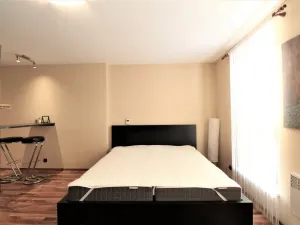 Pronájem bytu 1+kk, Praha - Karlín, Hybešova, 36 m2