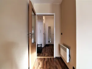 Pronájem bytu 1+kk, Praha - Karlín, Hybešova, 36 m2