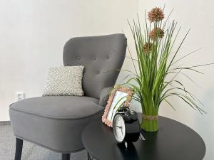 Pronájem bytu 2+kk, Leština u Světlé, 53 m2