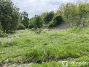 Prodej podílu 1/4 pozemku pro bydlení, Chýně, 1352 m2