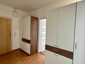 Pronájem bytu 3+1, Habartov, Karla Čapka, 69 m2