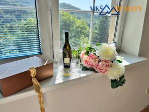 Prodej vícegeneračního domu, Děčín, Za Sadem, 740 m2