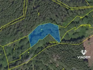 Prodej lesa, Zbizuby, 2112 m2