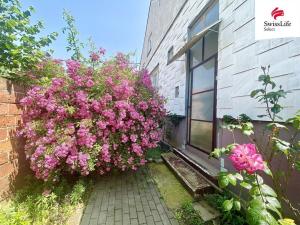 Prodej rodinného domu, Dubňany, Hodonínská, 82 m2