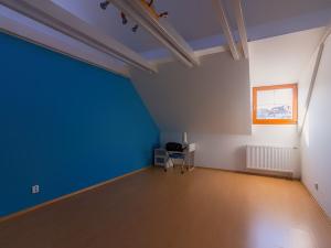 Prodej rodinného domu, Tábor - Čelkovice, Nábřeží, 291 m2