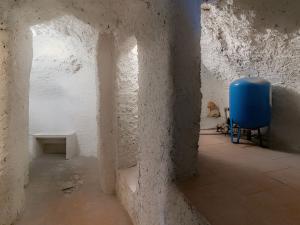 Prodej rodinného domu, Tábor - Čelkovice, Nábřeží, 291 m2