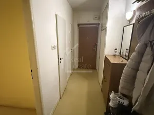 Pronájem bytu 2+1, Praha - Žižkov, Buková, 53 m2