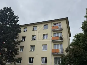 Pronájem bytu 2+1, Praha - Žižkov, Buková, 53 m2