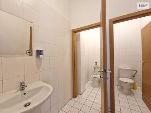 Pronájem obchodního prostoru, Příbram - Příbram V-Zdaboř, Brodská, 490 m2