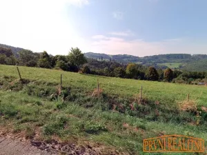 Prodej pozemku pro bydlení, Vyškovec, 4000 m2