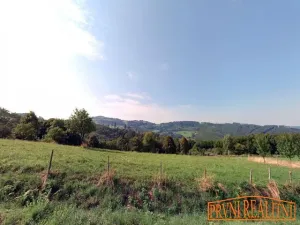 Prodej pozemku pro bydlení, Vyškovec, 4000 m2