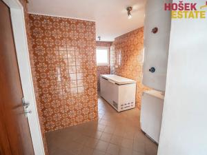 Prodej vícegeneračního domu, Přerov, Popovická, 320 m2