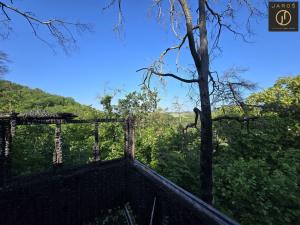 Prodej lesa, Loděnice, 12204 m2