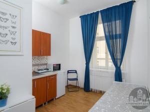Pronájem bytu 1+kk, Praha - Nusle, Čestmírova, 18 m2