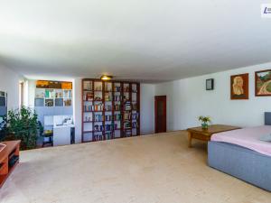 Prodej obchodního prostoru, Příbram - Příbram II, Fantova louka, 421 m2