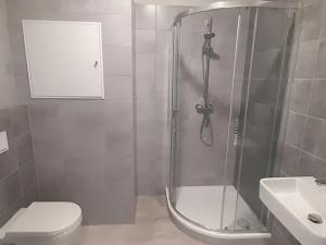 Pronájem bytu 1+kk, Brno, Chvalovka, 34 m2