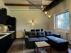 Pronájem bytu 1+kk, Frýdek-Místek, Mánesova, 41 m2