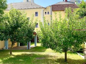Pronájem bytu 3+1, Planá, náměstí Svobody, 76 m2