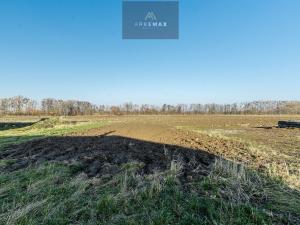 Prodej pozemku pro bydlení, Štítina, 6719 m2