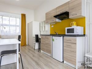 Pronájem bytu 1+kk, Brno, Václavská, 21 m2