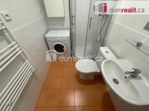 Pronájem bytu 1+kk, Praha - Smíchov, Na Valentince, 42 m2