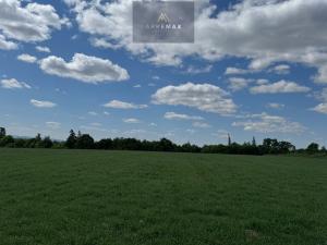 Prodej pozemku pro bydlení, Klimkovice, 2567 m2