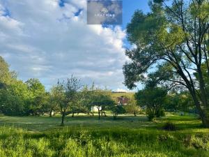 Prodej zahrady, Bílovec, 1012 m2