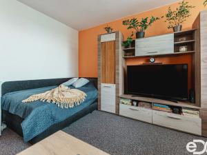 Prodej bytu 1+1, Pardubice, Prodloužená, 28 m2