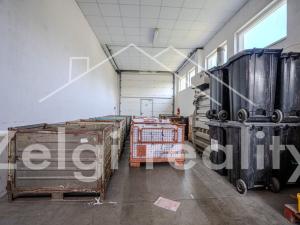 Pronájem výrobních prostor, Hustopeče, 608 m2