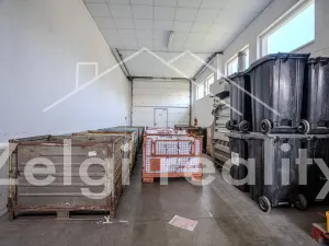 Pronájem výrobních prostor, Hustopeče, 608 m2