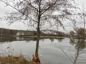 Prodej komerčního pozemku, Napajedla, 7442 m2