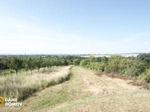 Prodej pozemku pro bydlení, Staré Město, 3731 m2