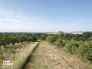Prodej pozemku pro bydlení, Staré Město, 3731 m2