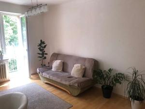Pronájem bytu 3+kk, Olomouc, Na Vozovce, 70 m2